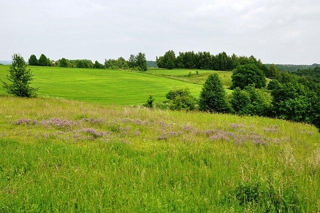 Wzgórza morenowe w Goraju