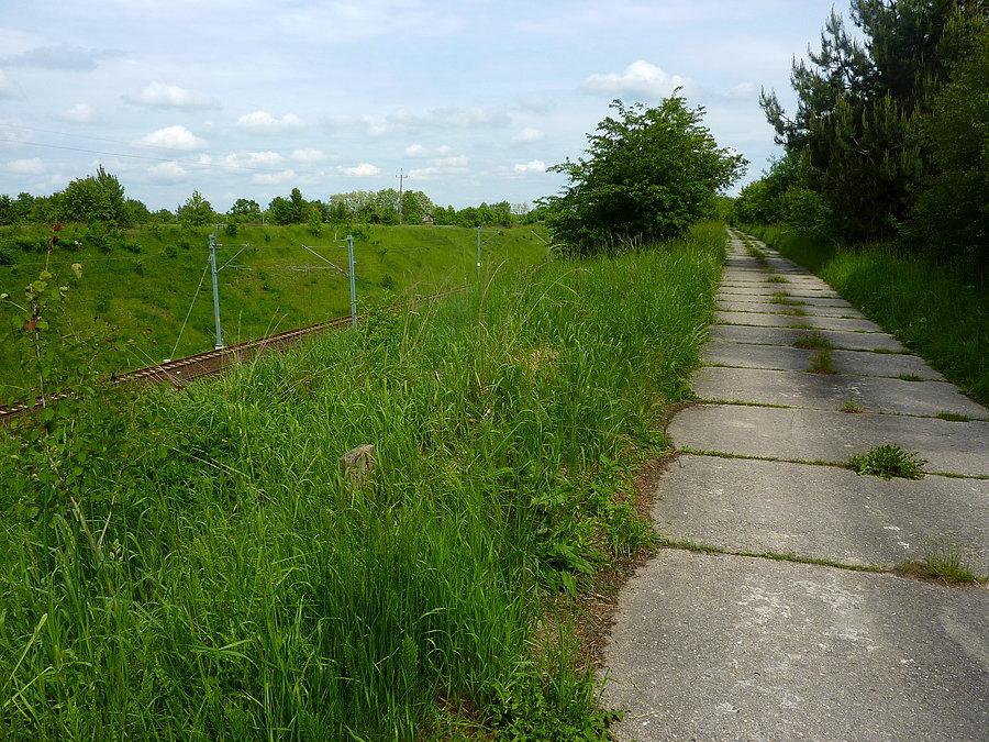 Droga z betonowych płyt biegnąca wzdłuż Centralnej Magistrali Kolejowej