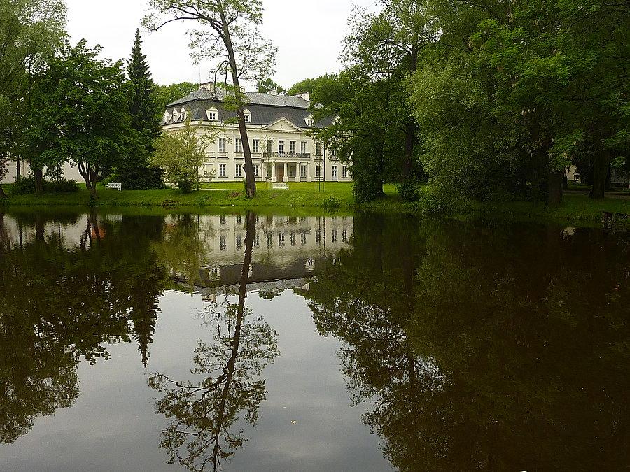 Pałac w Radziejowicach