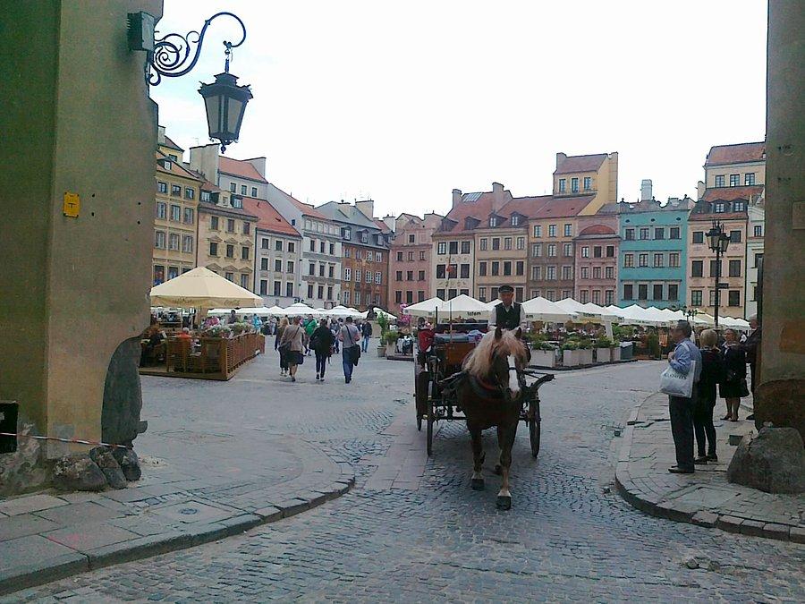 Rynek