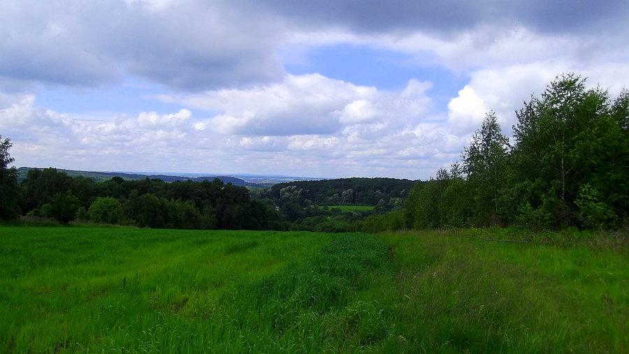 Widoki z drogi w okolicy Pszowa / Zawady