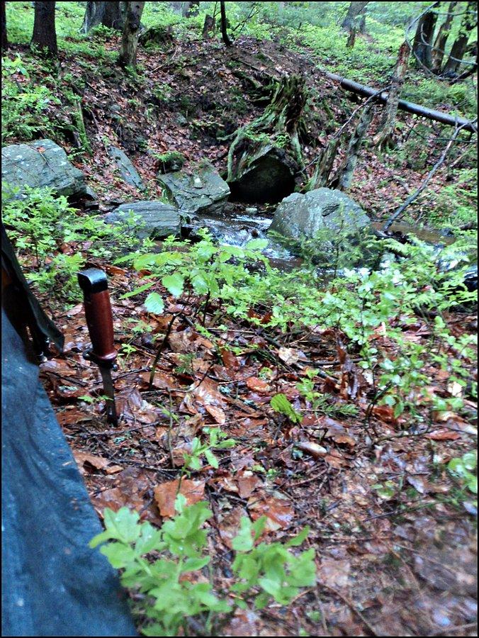 Widok z namiotu