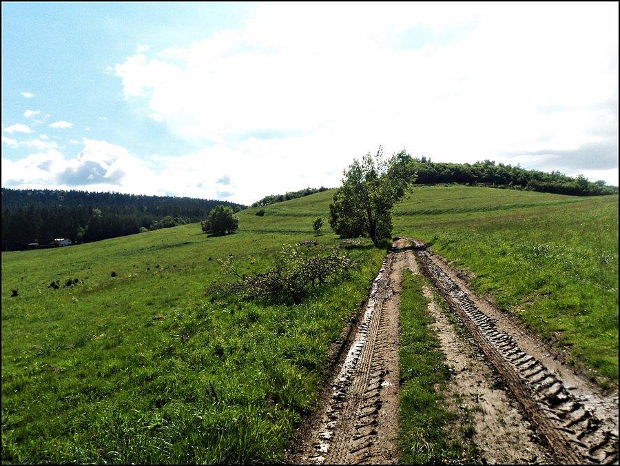 Czerwony szlak