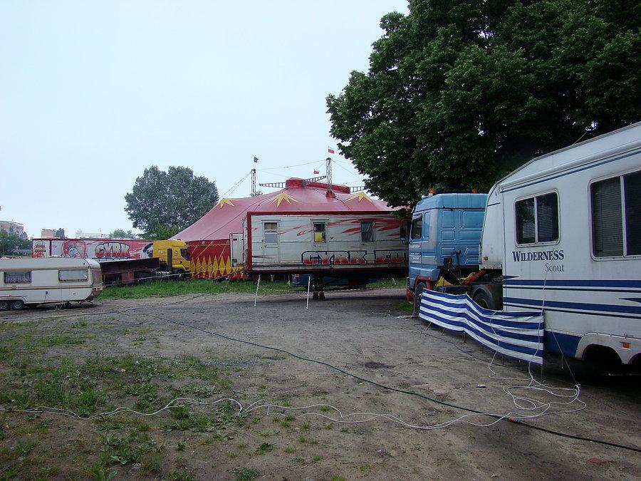 Cyrk w Szczecinie