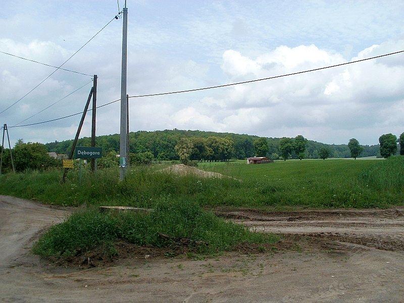 W Dębogórze jest brama do nieba tz. do Puszczy Zielonka