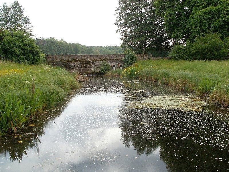 Zielonka - Arboretum