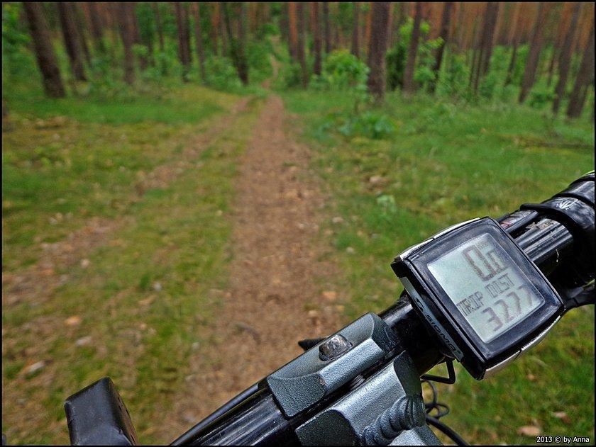 I była przepiękna!