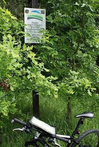 Znajomy znak - Zespół Nadpilickich Parków Krajobrazowych