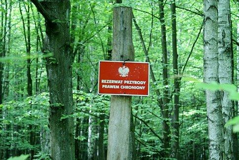 Rezerwat prawem chroniony