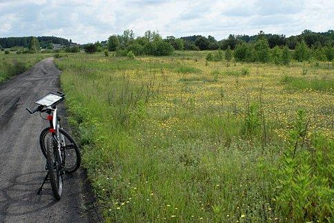 Wśród żółtych pól Czarny Bocian czuje się jak pszczoła w miodzie :) //na czarnym szlaku rowerowym//