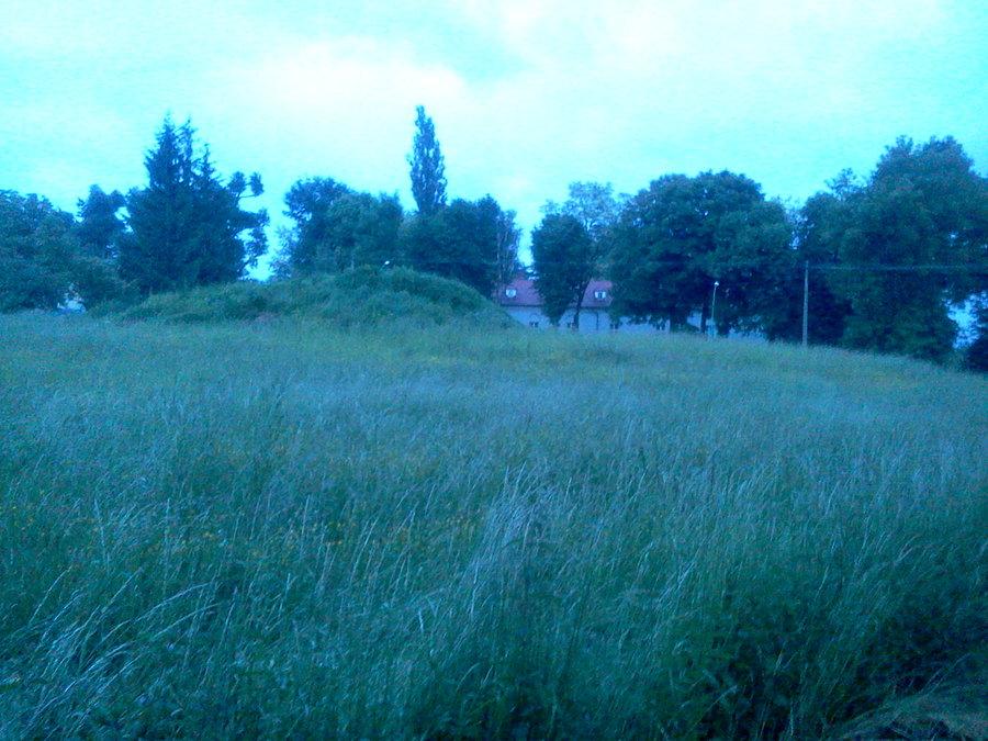 Kopiec w Bestwinie 2