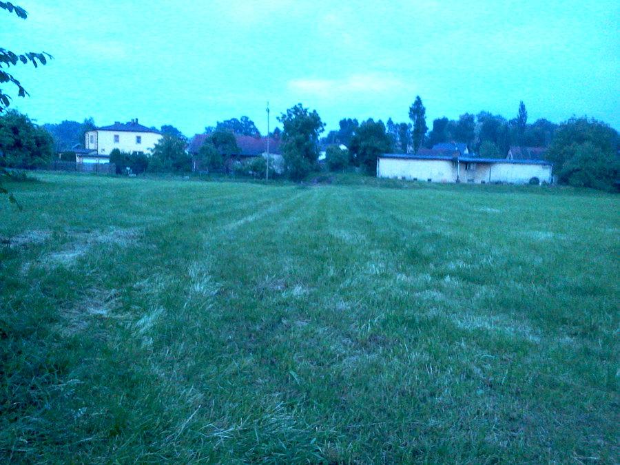 Bestwina grodzisko
