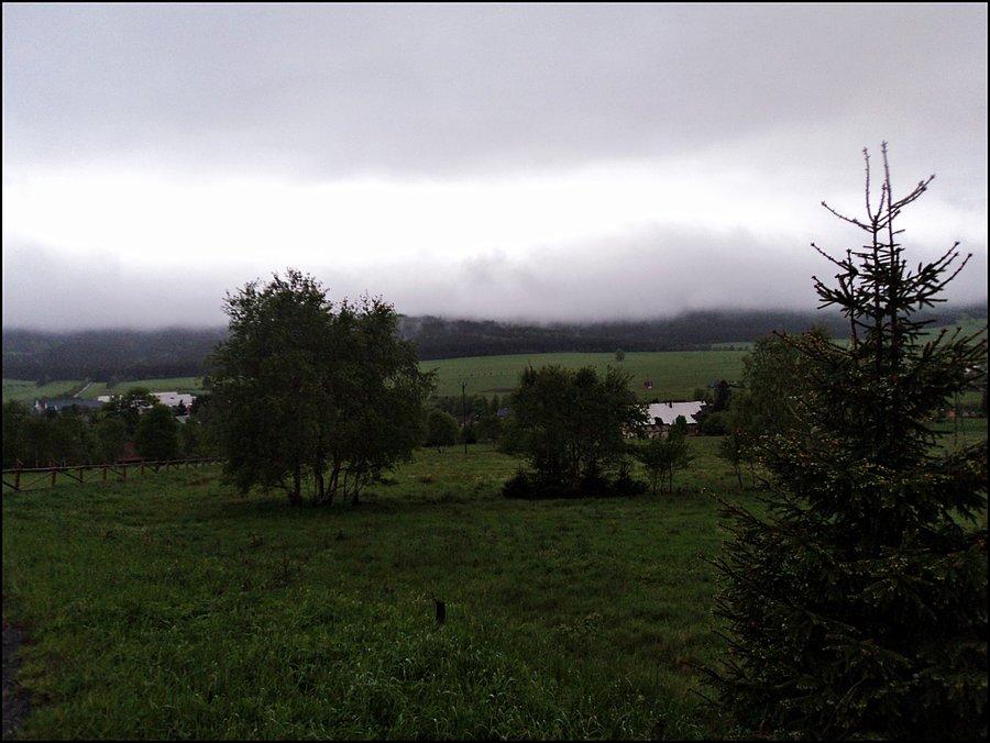 Powrót do schroniska