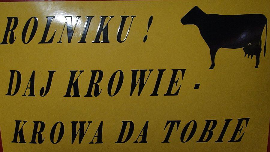Ta mi się szczególnie spodobała