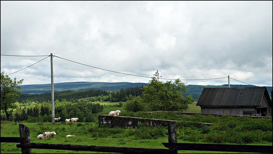 Widoczek na górki, z owcami ;)