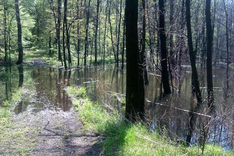 Przeszkoda na szlaku