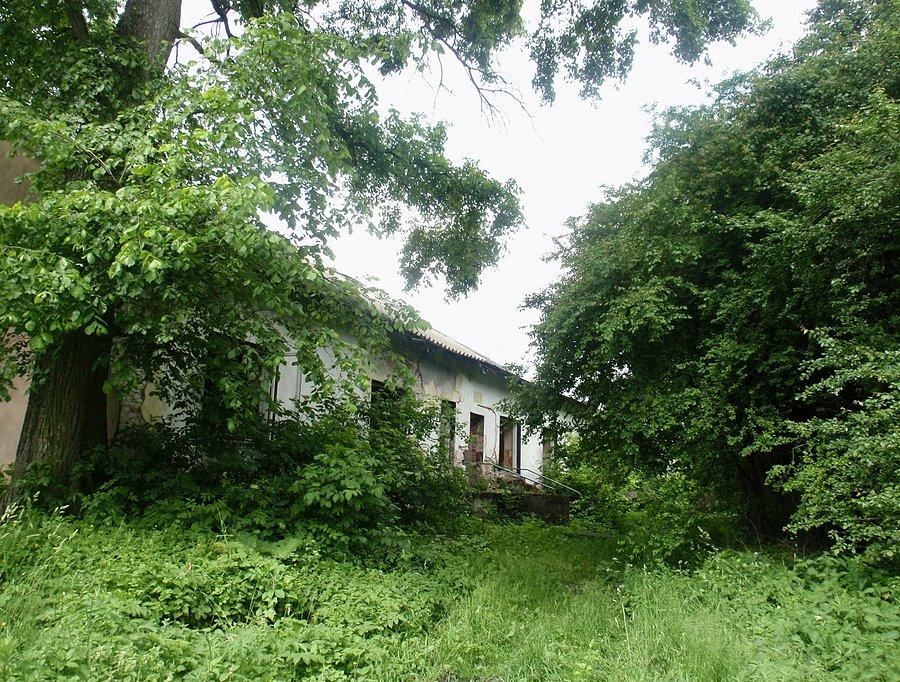 Dworek w Podlesiu