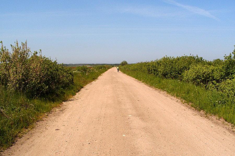 Droga szutrowa do Dębek