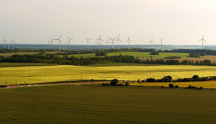 Widok z wieży widokowej w Gniewinie