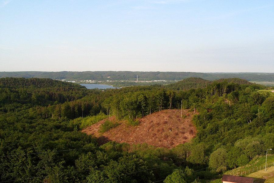 Widok z wieży widokowej w Gniewinie