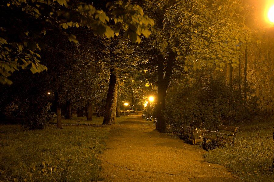 Parkowa alejka wzdłuż murów obronnych