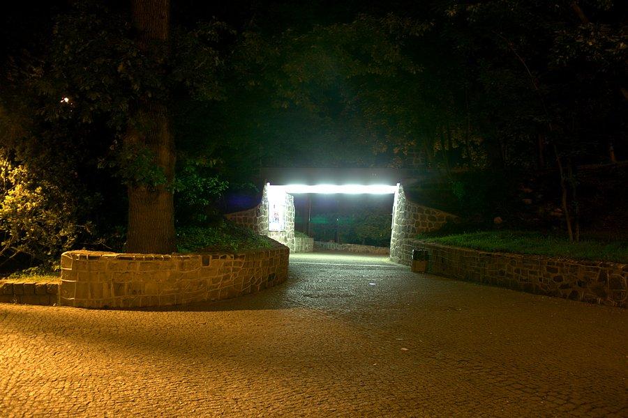Przejście pod Aleją Słowiczą w Parku Chrobrego