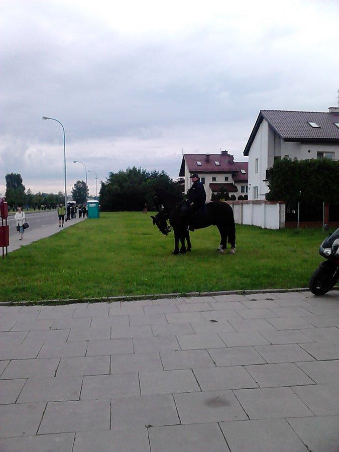 Policja konna