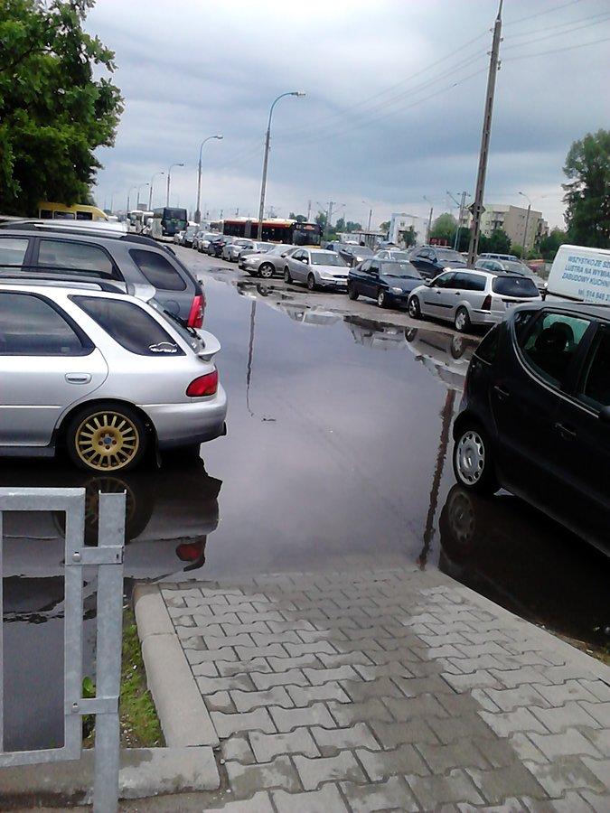 Krajobraz po burzy