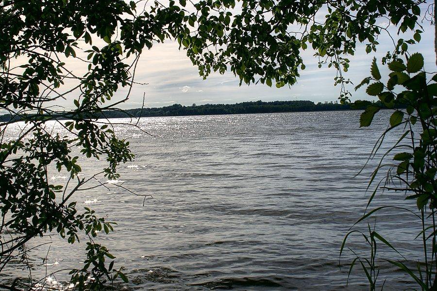 Jezioro Miedwie między Wierzchlądem a Koszewkiem