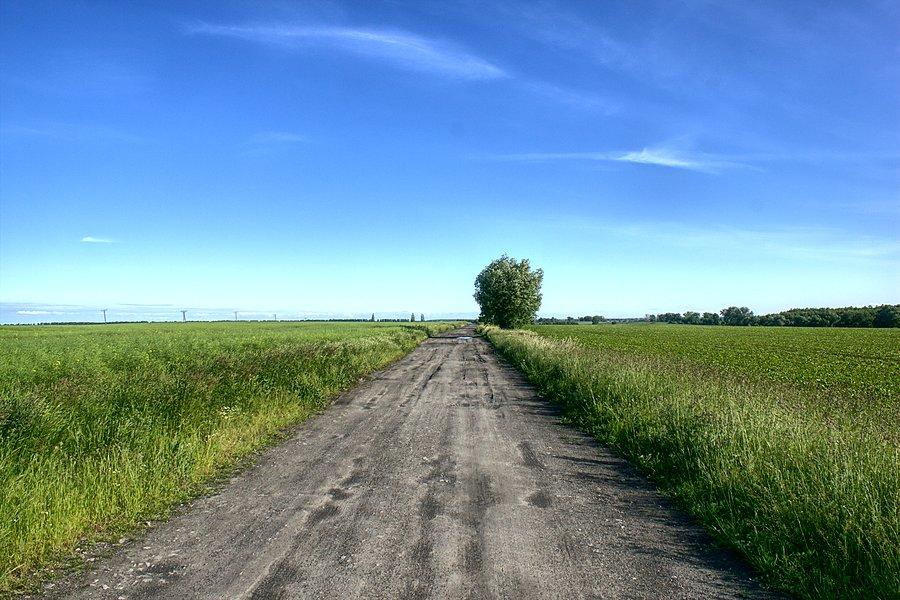Na drodze Koszewo - Wierzbno