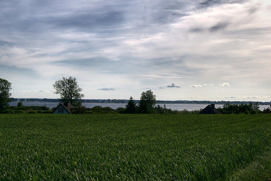 Widok na Miedwie z drogi do Wierzbna