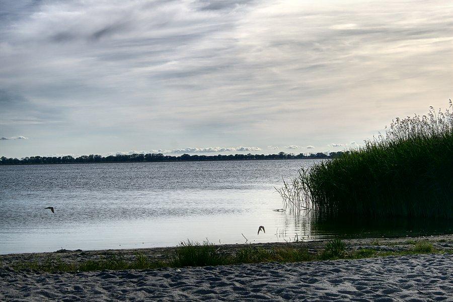 Na plaży w Wierzbnie