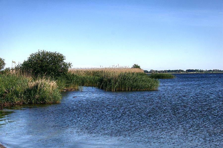 Jezioro Miediwe _ Wierzbno