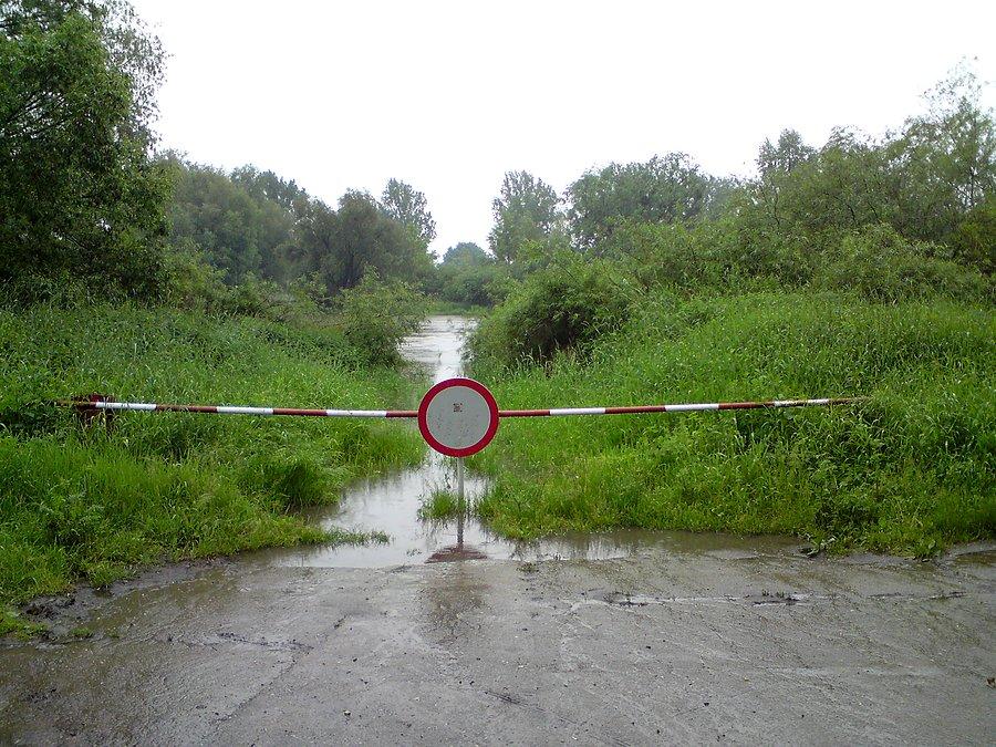 Wdzierająca się Odra