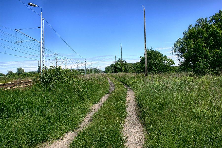 Wzdłuż torów do rezerwatu