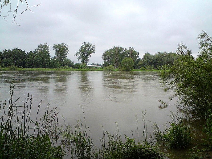 Wezbrana Odra