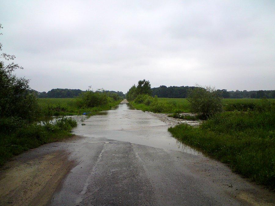 Początek betonówki