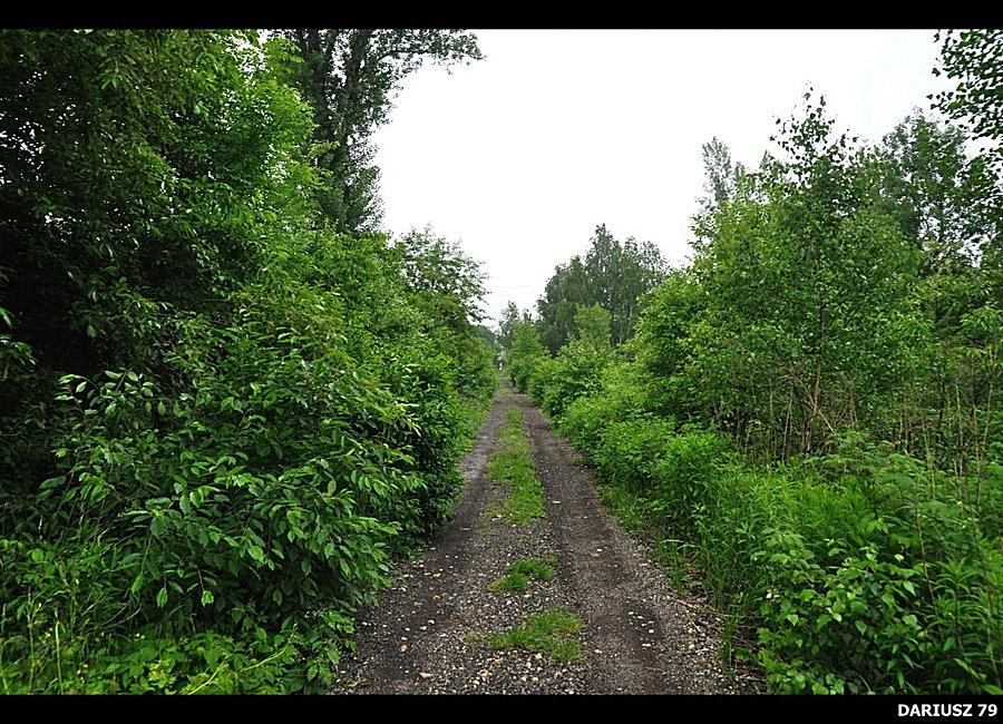 Szlak Rowerowy Dawnego Pogranicza - Sosnowiec Modrzejów