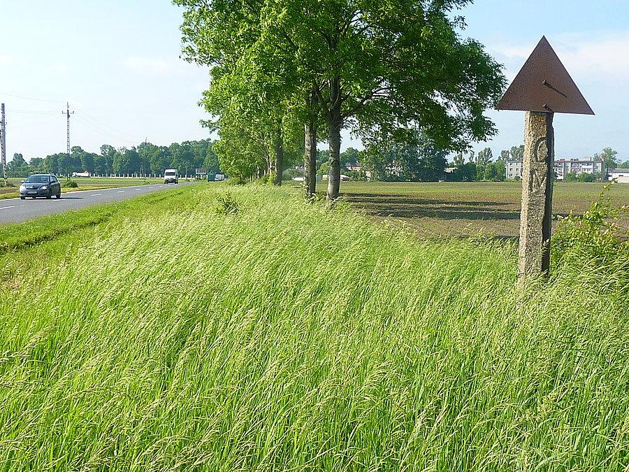 Wskaźnik przytorowy W6 przed Lesznem