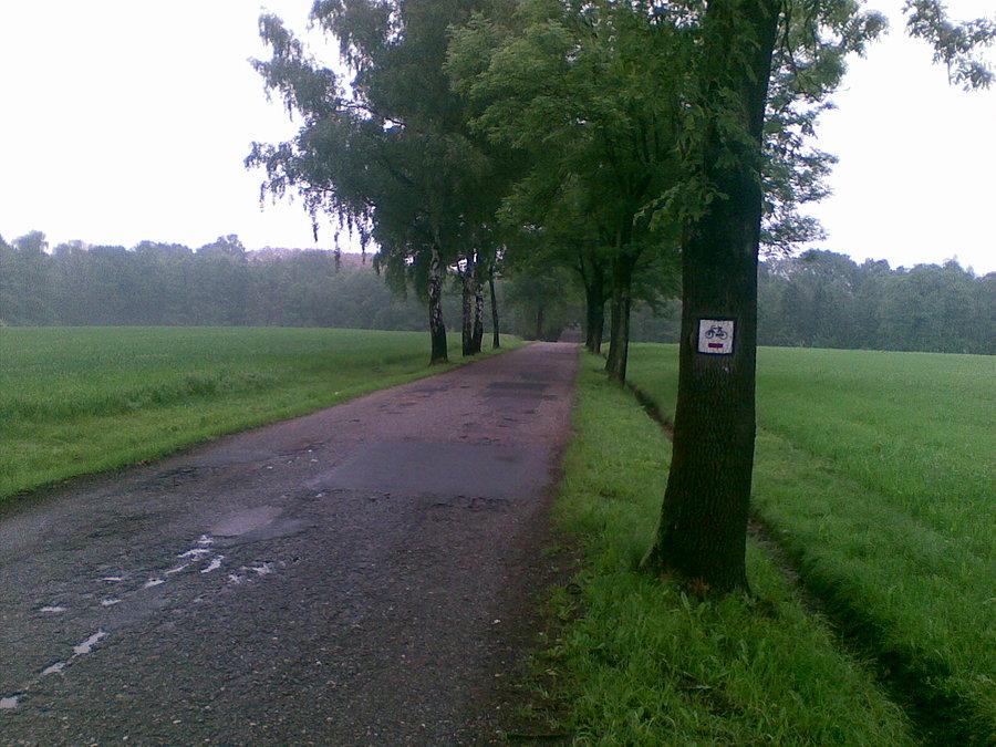 Jarząbkowice