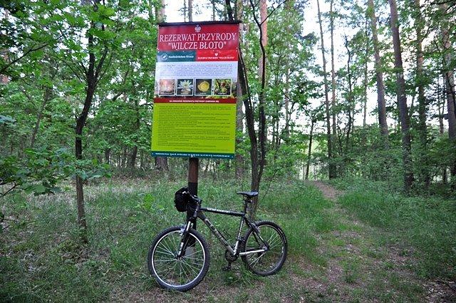 Rezerwat Wilcze Błoto