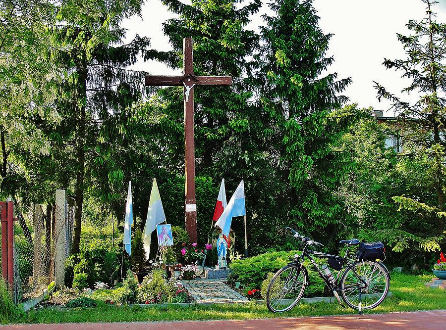 Popołudniowy wypad do lasu