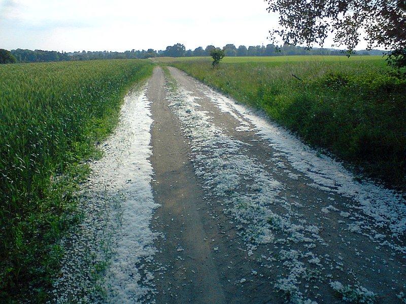 Czy to śnieg?