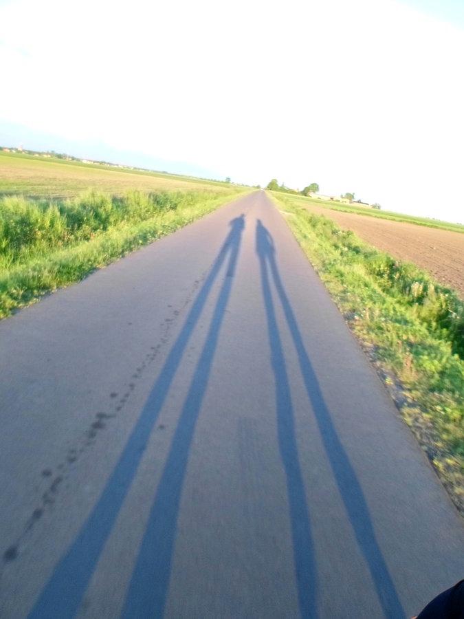 WIeczorne rolki