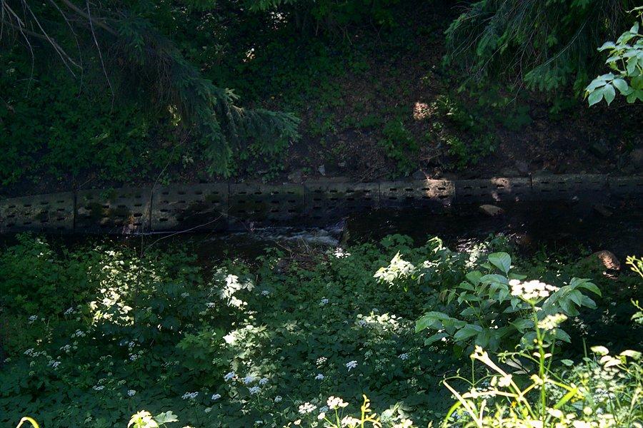 Pyrzycka fosa
