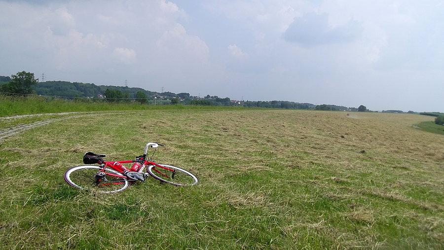 Na wale Polderu Buków