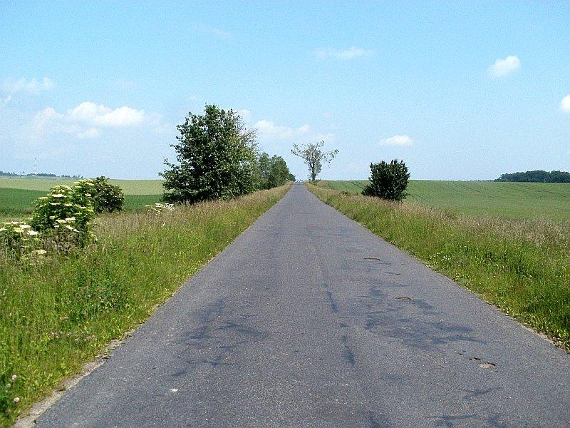 Krótki podjazd w Pacholewie