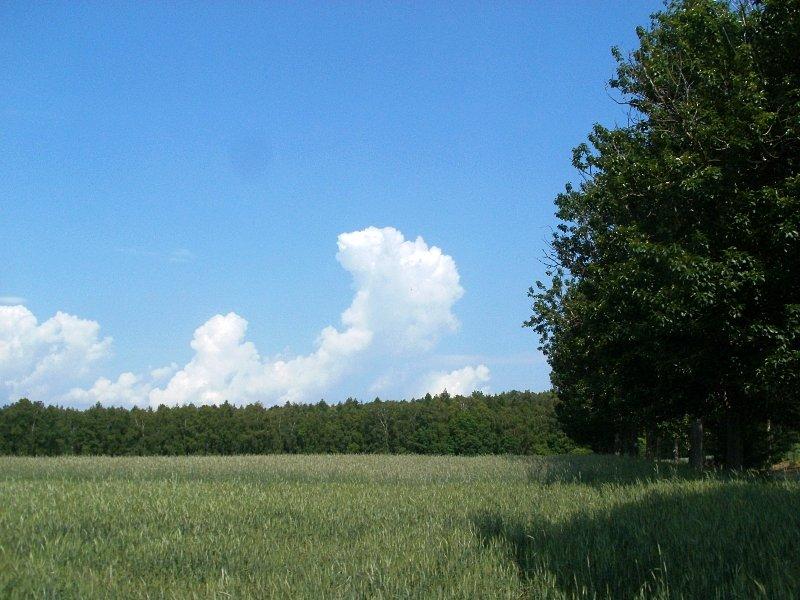 Chmurki się pojawiają