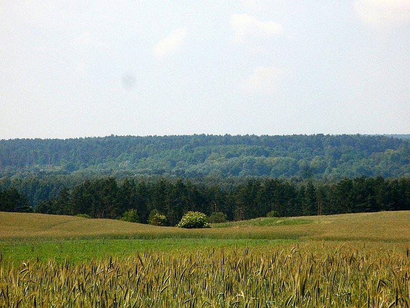 Starczanowo - tam gdzieś Warta sobie płynie w dolinie