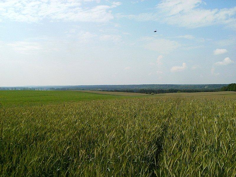 Widok ze Starczanowa i ufo gratis :-)